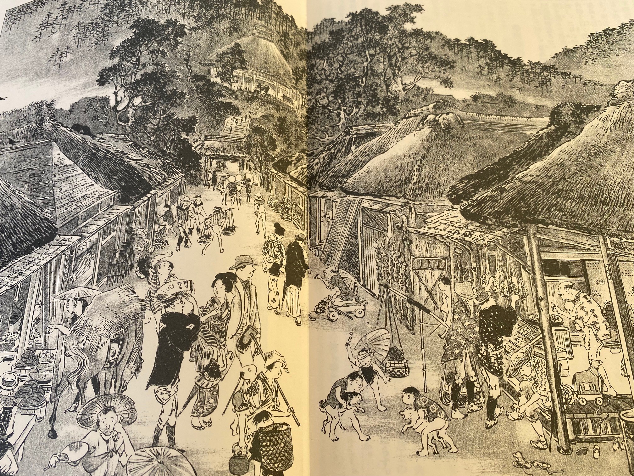 明治時代の鎌倉・江の島ガイドブックより、長谷観音への参道の様子。現在の様子と比べてみてください。歴史ある町での暮らしをお楽しみください。